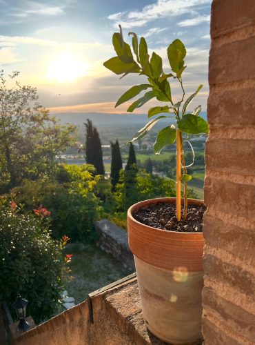 Casa vacanza con giardino attrezzato a Spello