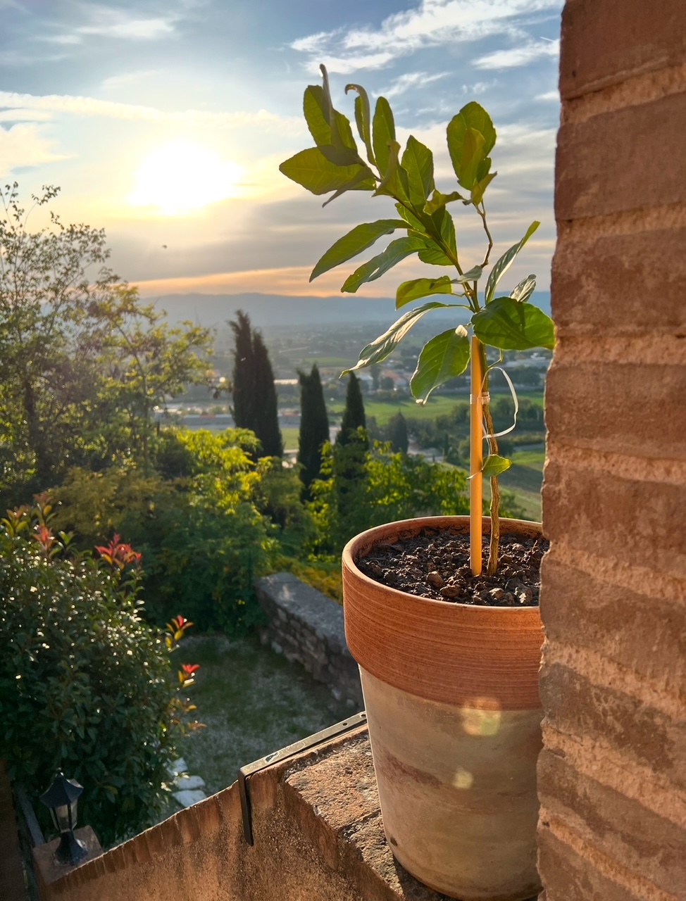 Casa vacanza con giardino attrezzato a Spello